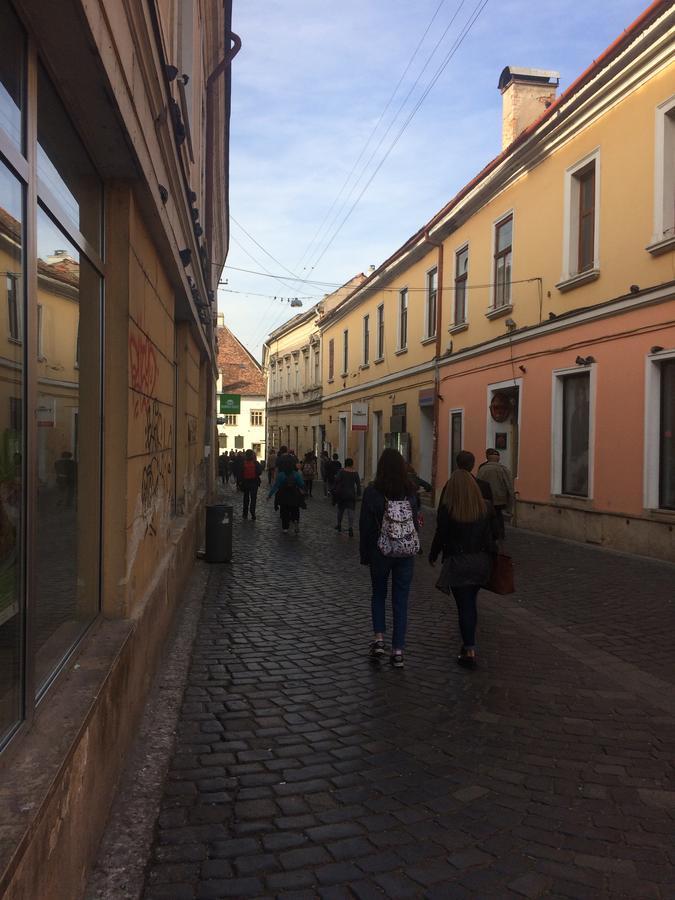 Hostel Casa Roz Kluż-Napoka Zewnętrze zdjęcie