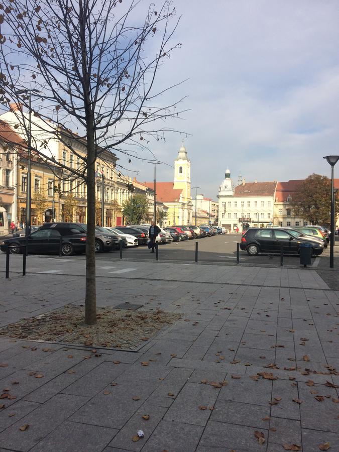 Hostel Casa Roz Kluż-Napoka Zewnętrze zdjęcie