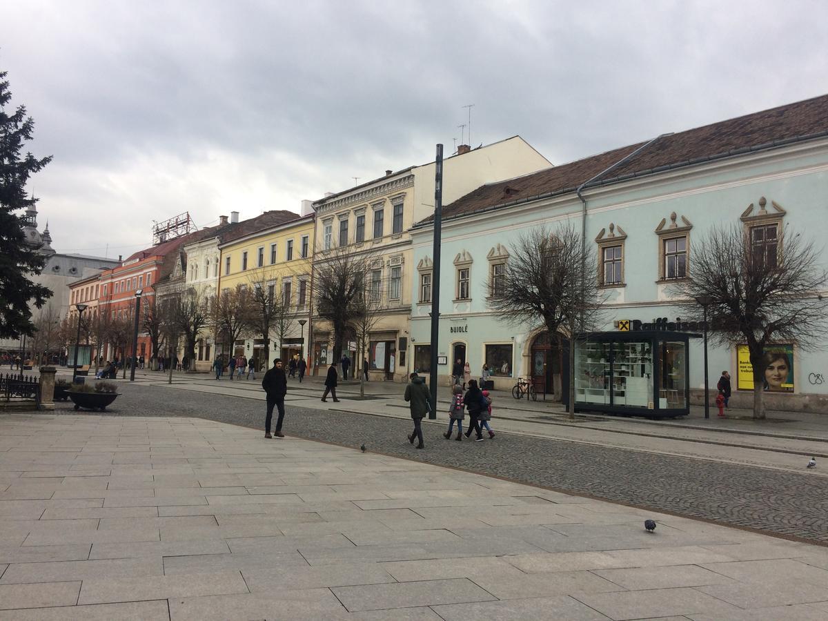 Hostel Casa Roz Kluż-Napoka Zewnętrze zdjęcie