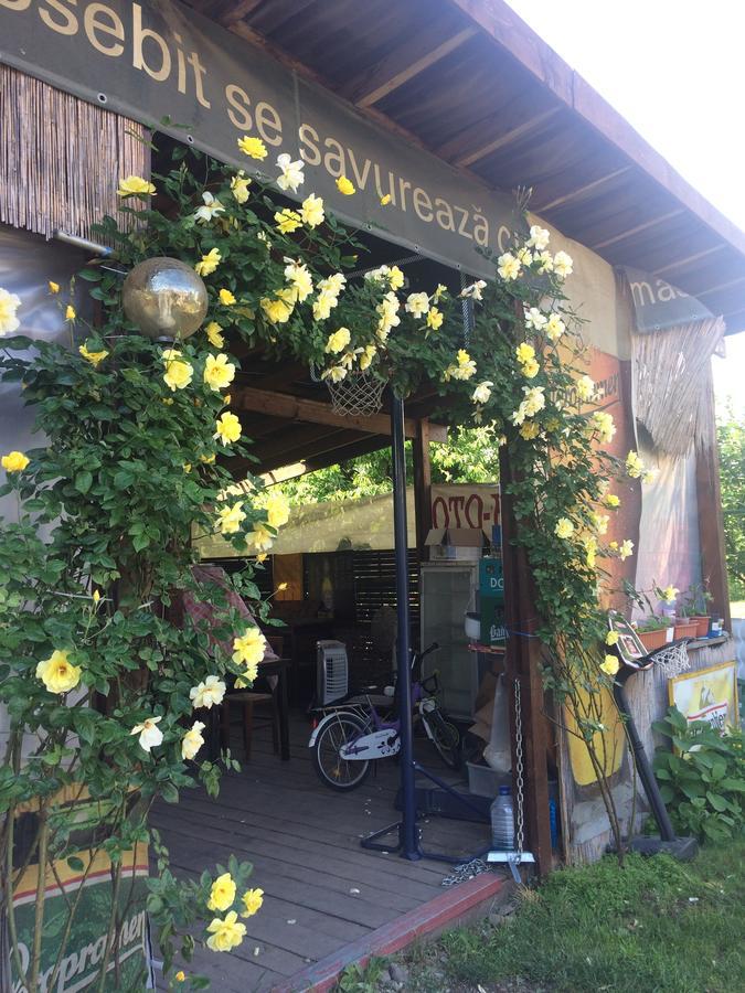 Hostel Casa Roz Kluż-Napoka Zewnętrze zdjęcie