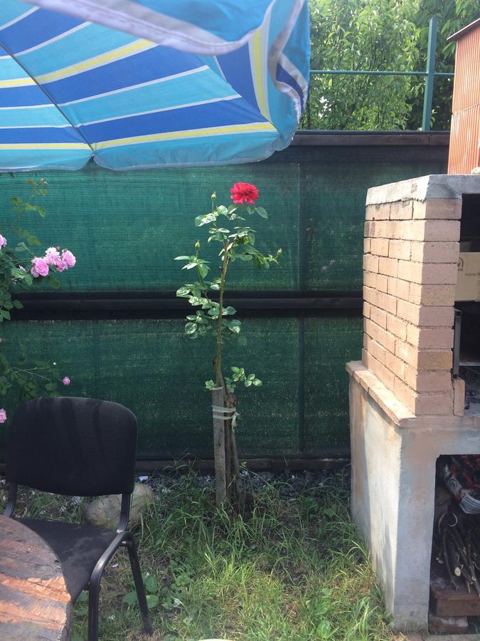 Hostel Casa Roz Kluż-Napoka Zewnętrze zdjęcie
